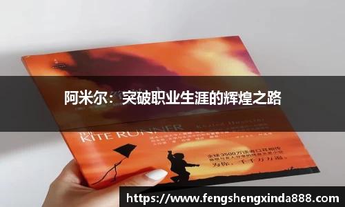 阿米尔：突破职业生涯的辉煌之路